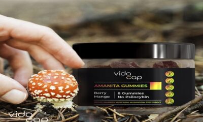 Best Amanita Muscaria Gummies What to Look For and Where to Buy